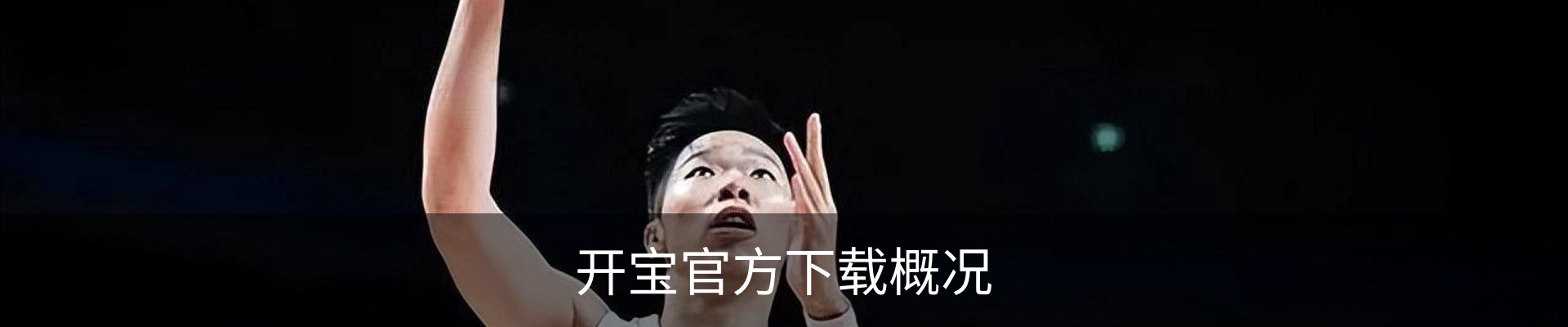 开宝官方下载概况